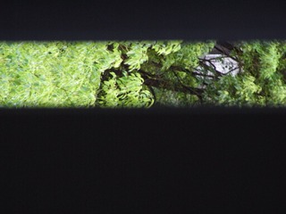 4EF7AE58-975E-4A58-B41E-C6E766724BF0/L0/001