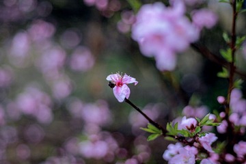 FB5E8710-9B84-4551-A52C-E233DCED44B6/L0/001