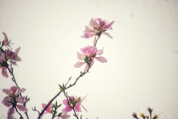 DD55F41C-7779-4100-829F-92BD379EF823/L0/001