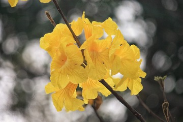 92402747-CAFD-454B-8C39-C25AE51DE5E9/L0/001