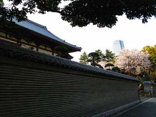 04987B01-32E1-4BCB-B8A2-5E8903C5F876/L0/001
