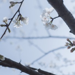 73F196BF-82CE-486D-B63D-FDFF2878E463/L0/001