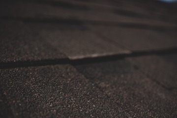 36544