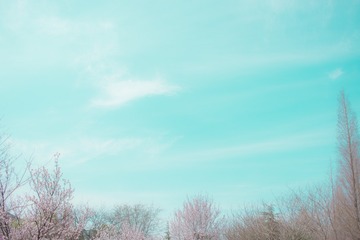 36527