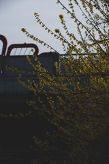 36563
