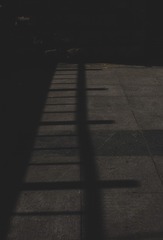 36547