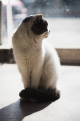 36666