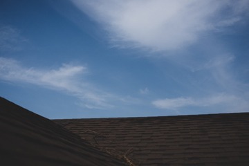 36542