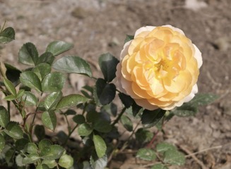001