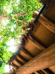 P7278717副本.jpg