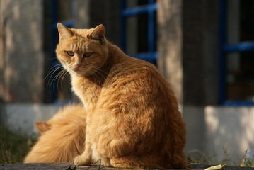 DSC03385.JPG