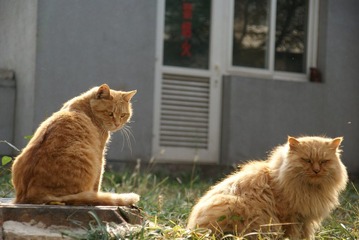 DSC03387.JPG