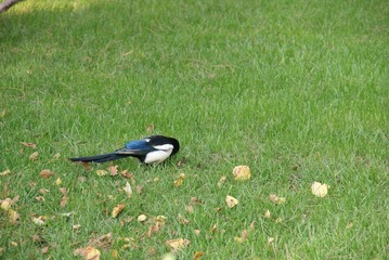 DSC03449.JPG