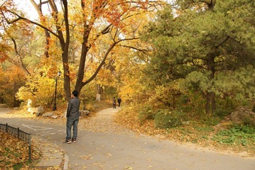 DSC03459.JPG