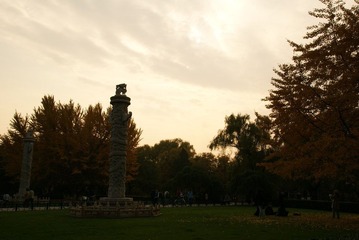 DSC03473.JPG