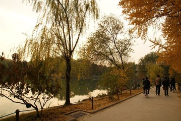 DSC03485.JPG