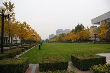DSC03082.JPG