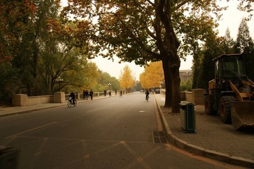 DSC03098.JPG