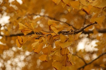 DSC03104.JPG