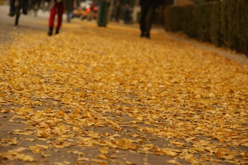 DSC03110.JPG
