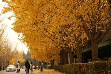 DSC03116.JPG