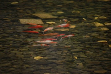 IMG_0097.JPG