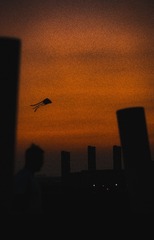 DFA912E9-7CB2-4B08-BEEC-09DC043137D6/L0/001