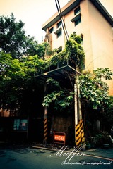 DSC05077-1.jpg