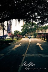 DSC05079-1.jpg