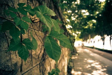 DSC05440-1.jpg