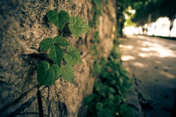 DSC05441-1.jpg