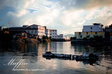 DSC05494-1.jpg