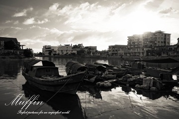 DSC05516-1.jpg