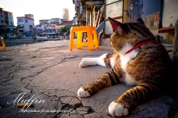 DSC05537-1.jpg
