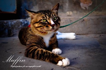 DSC05544-1.jpg