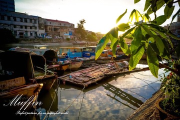 DSC05545-1.jpg