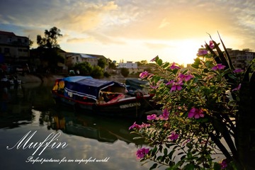 DSC05554-1.jpg