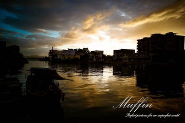 DSC05555-1.jpg