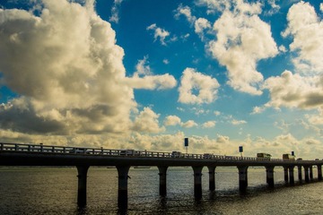 DSC05612-1.jpg