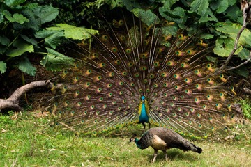 _DSC6800-1.jpg