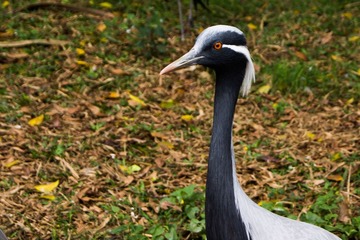 _DSC6820-1.jpg