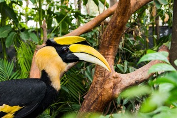 _DSC7006-1.jpg