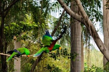 _DSC7060-1.jpg