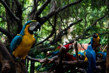 _DSC7206-1.jpg