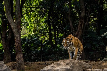 _DSC6863-1.jpg
