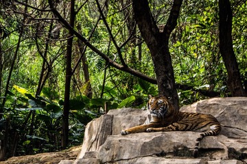 _DSC6876-1.jpg