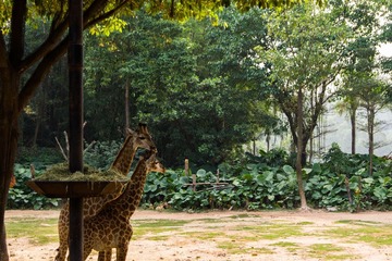 _DSC7035-1.jpg