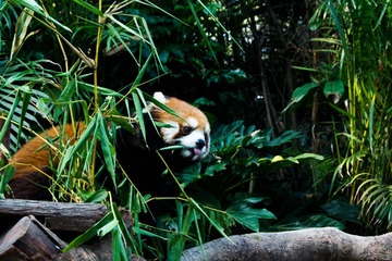 _DSC7172-1.jpg