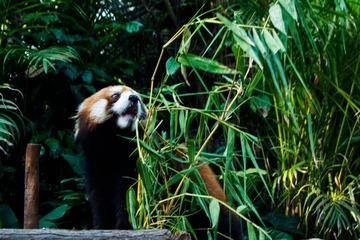 _DSC7177-1.jpg