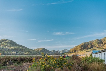 未命名-6